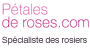 P�tales de roses