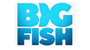 Code Promo Big Fish Games