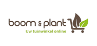 Boomenplant Belgique